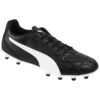 Puma Monarch II FG/AG Men's Soccer Cleats -Shoes Shop 5860 10647 0026 016 zoom 02